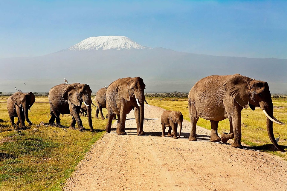 AMBOSELI NATIONAL PARK