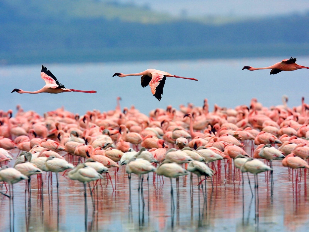 LAKE NARUKU NATIONAL PARK