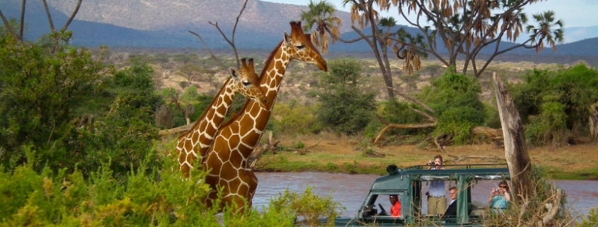 SAMBURU GAME RESERVE