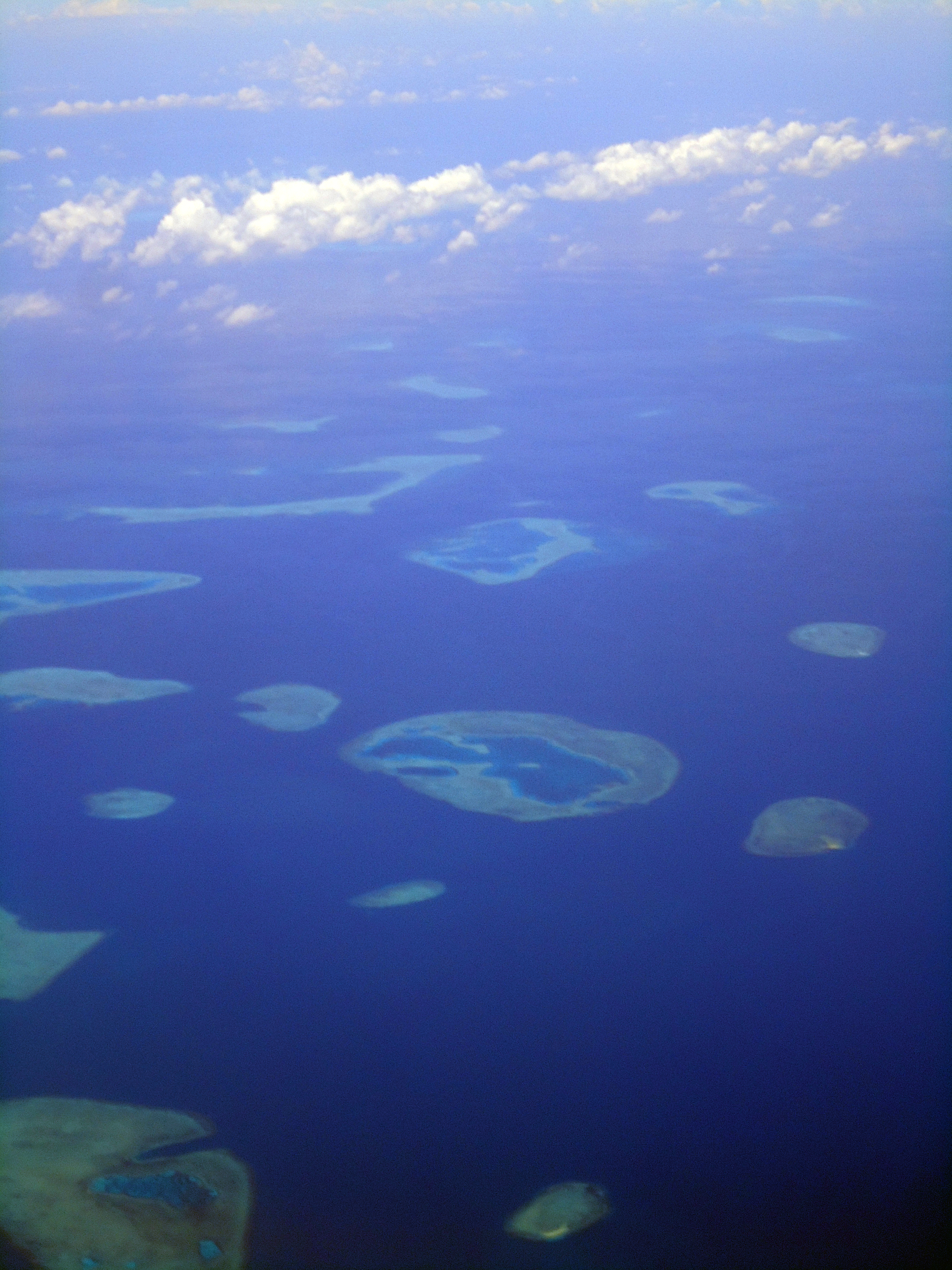 Kabar Kurang Baik Dari Ekosistem Bawah Laut Makassar Reservasiku