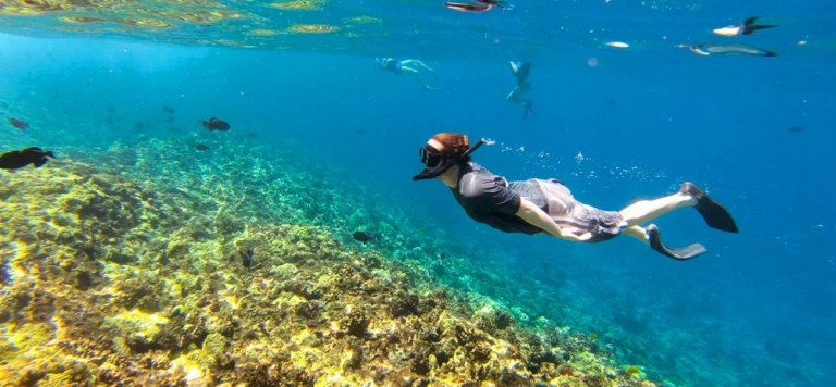 Tips Snorkeling Yang Wajib Di Ketahui Untuk Traveler Pemula